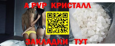 амф Кингисепп