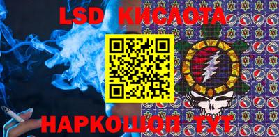 амф Кингисепп