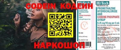 амф Кингисепп