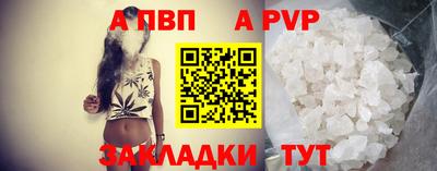 амф Кингисепп