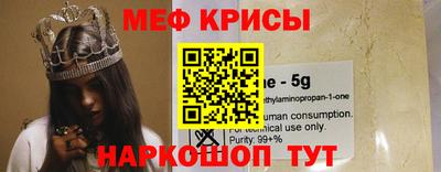 амф Кингисепп