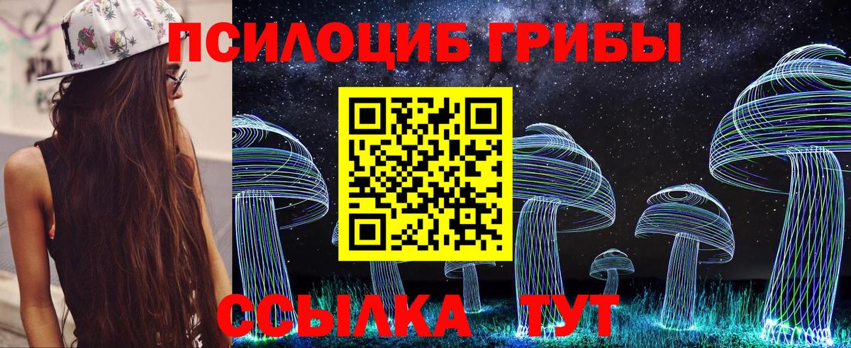 Псилоцибиновые грибы MAGIC MUSHROOMS  Вход с VPN  Киселёвск 
